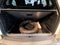 2024 Peugeot 3008 1.6 Active At